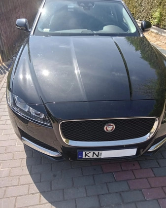 Jaguar XF cena 65900 przebieg: 128900, rok produkcji 2016 z Kartuzy małe 232